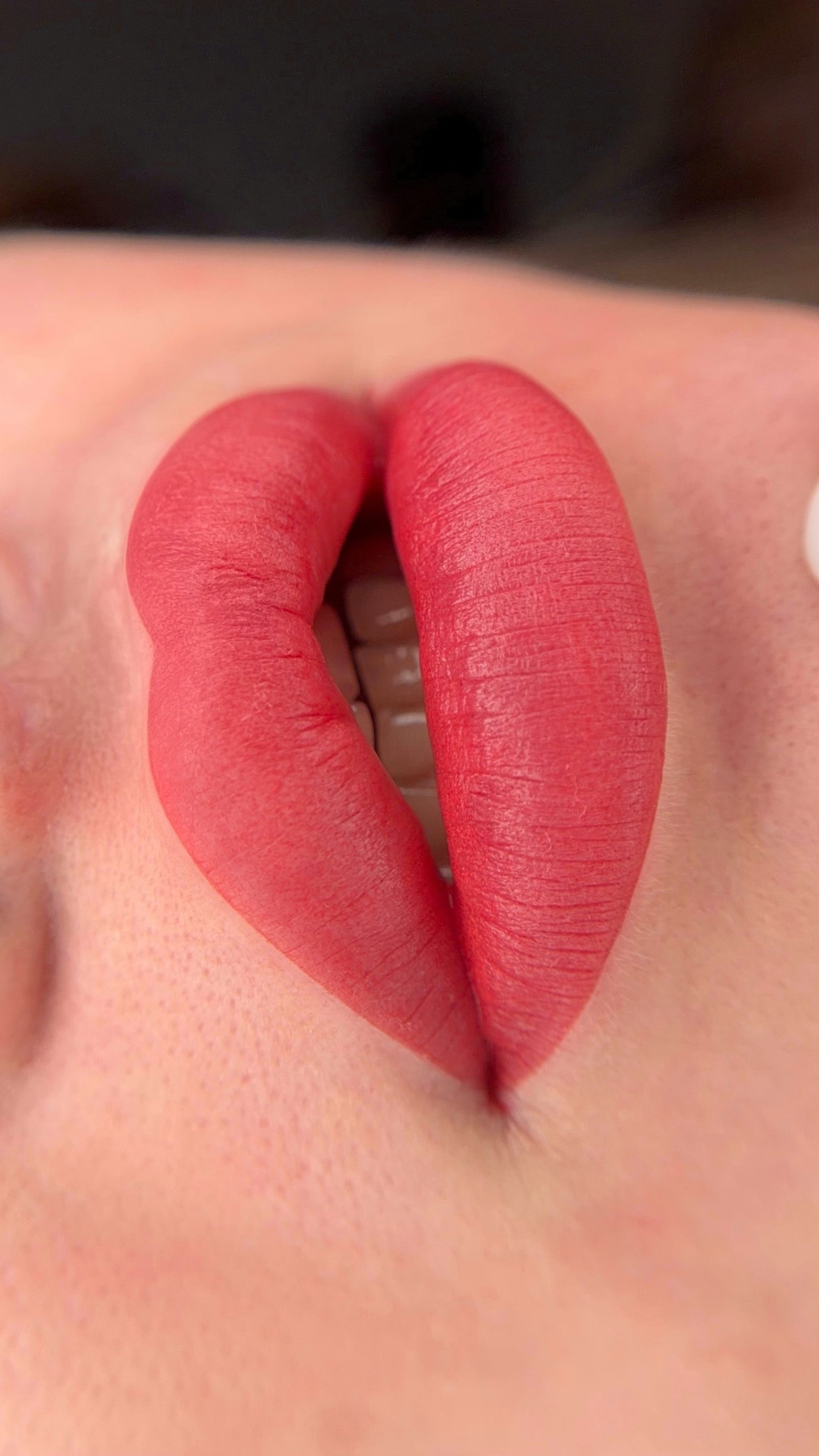 FACE Permanent pigment LAST LOVE 6 ml